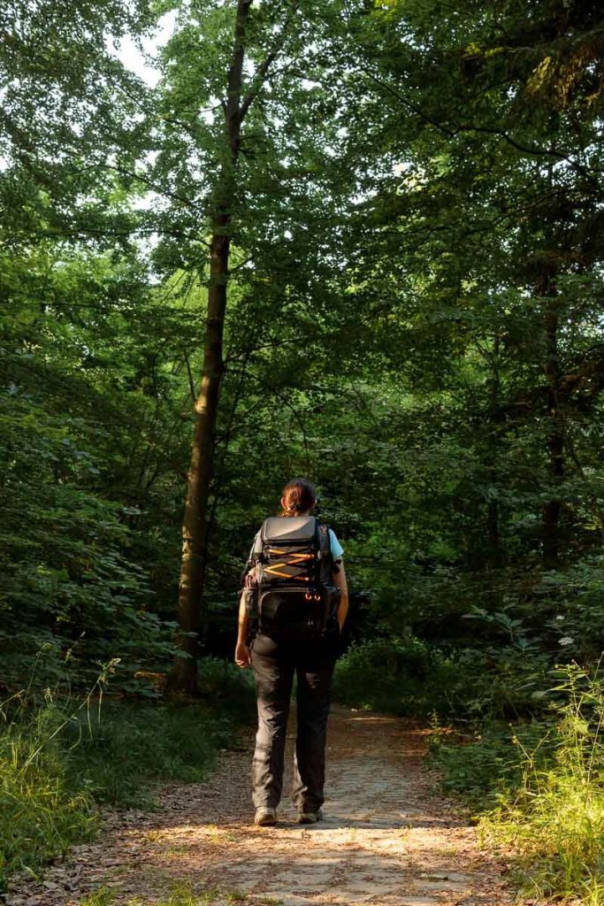 Frau von hinten mit großem Kamerawanderrucksack alleine im Wald