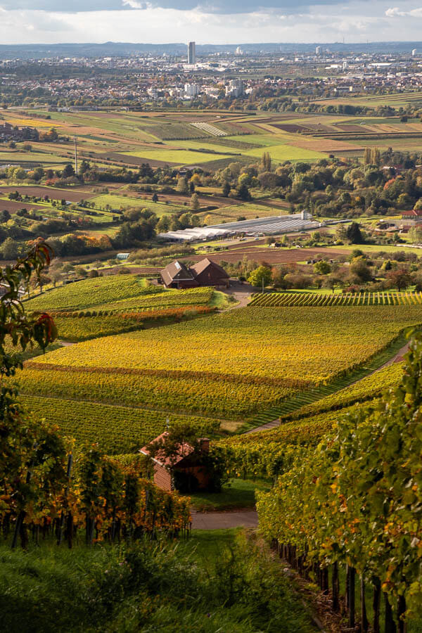 Blick auf Weinberge und die Endersbacher Kelter in Weinstadt wo der Wanderweg Natur Schön entlangführt