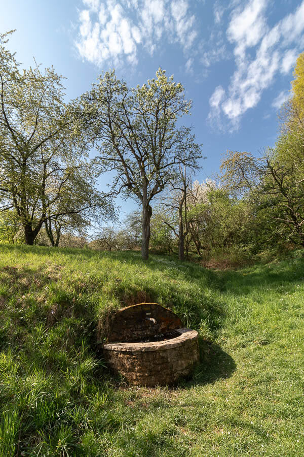 Brunnen Strümpfelbach mit Bäumen im Hintergrund