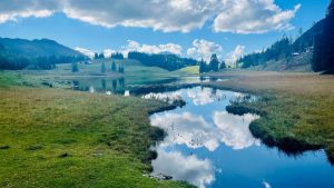 Genußwandern im Salzburgerland