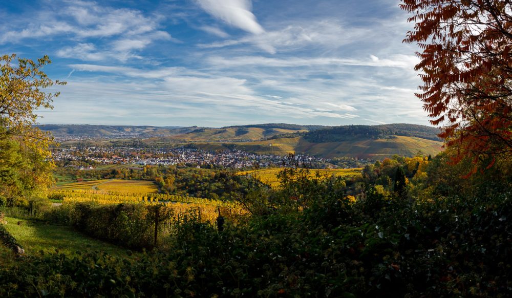 Aussicht auf Weinberge mit gelben, roten und grünen Blättern