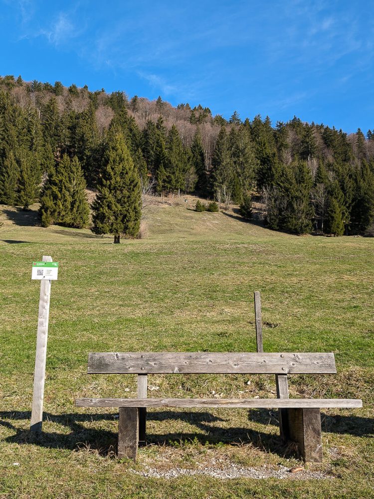 Noch lief alles nach Plan. Aber keine 500 Meter weiter begann das Abenteuer