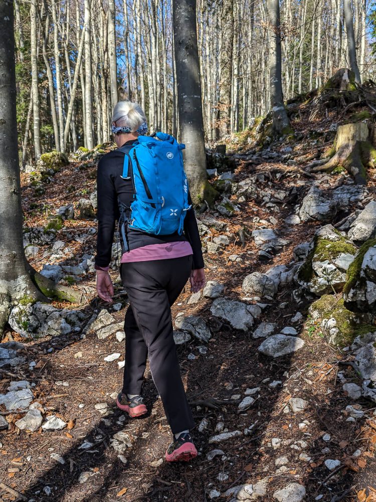 Auf dem Weg zum Gaisberg Gipfel