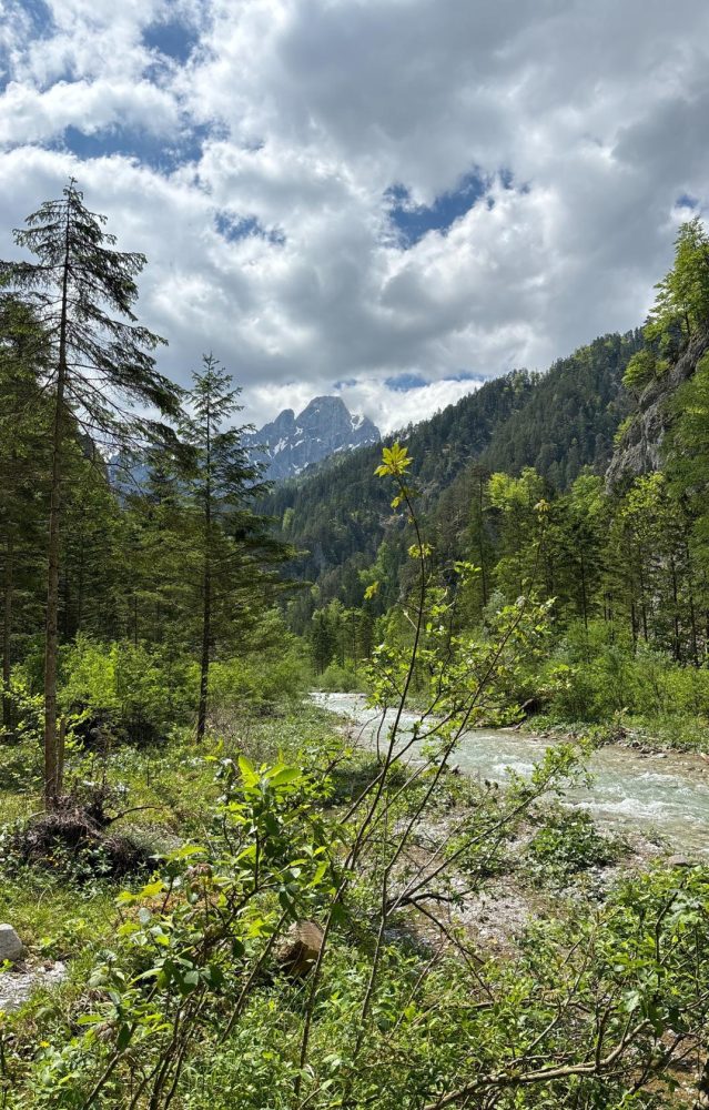 Johnbach mit Bergen im Hintergrund