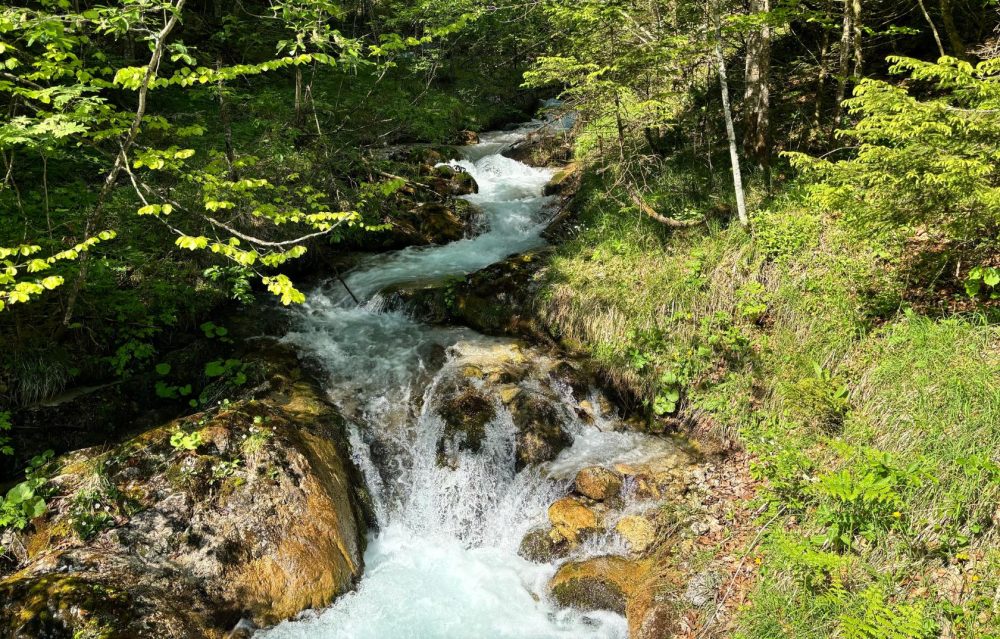 Rauschende Bäche und Flüsse im Gesäuse Nationalpark