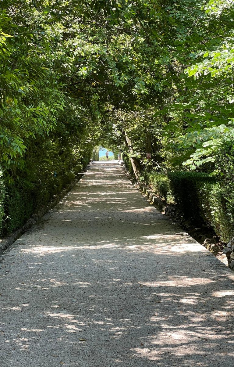 Der Botanische Garten ist hübsch und lädt zum ausruhen ein