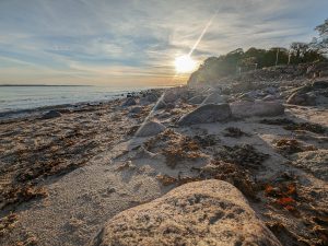 Eckernförde Fossilienwanderung