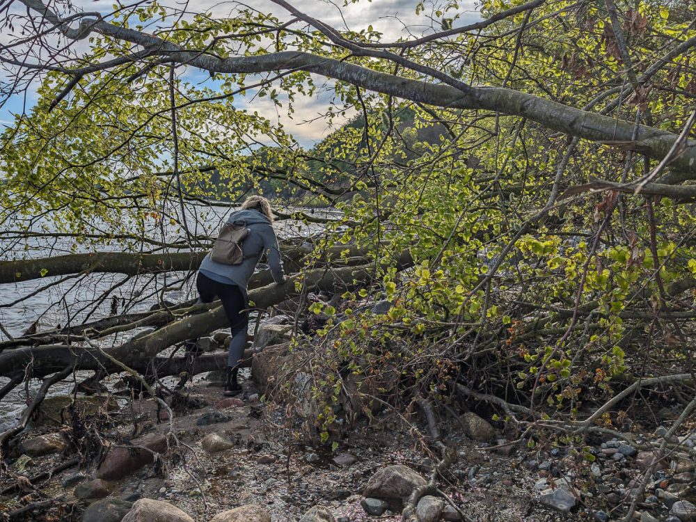 Frau klettert duch umgestürzten Baum am Strand