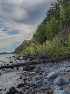 Eckernförde Fossilienwanderung-15