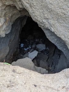 Eckernförde Fossilienwanderung-19