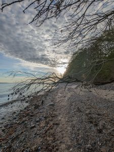 Eckernförde Fossilienwanderung-5